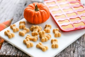 pumpkin-dog-treats