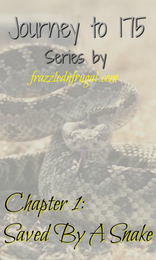 Journey to 175 Series- Chapter 1 Saved By A Snake